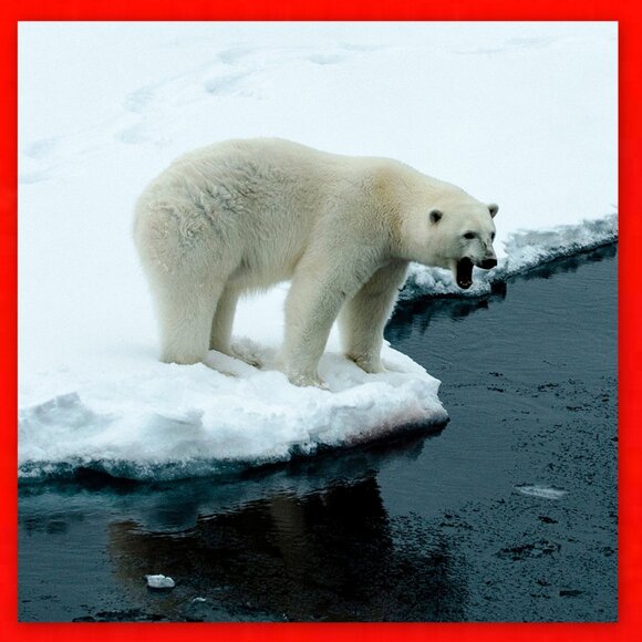 Canada 2010 Highly Collectible Set of 3 x $2 Toonies! - Picture 12 of 16